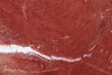Polished Triassic Petrified Wood Heart - Madagascar #317352-2